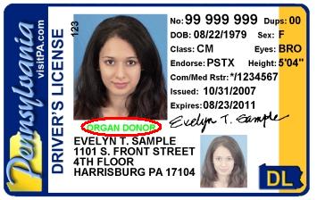 Pennsylvania+licenses
