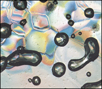 Atmospheric+concentrations