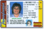 Pennsylvania+licenses